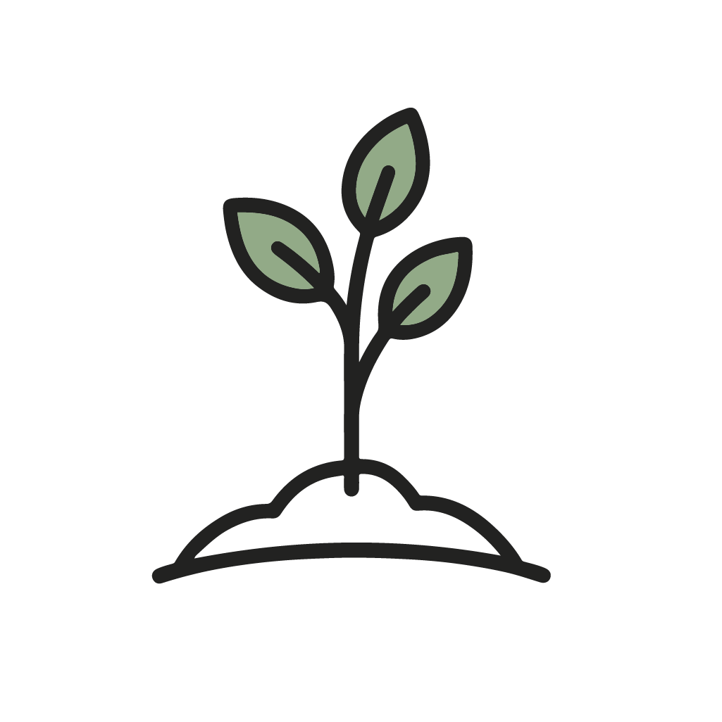 Plant bomen